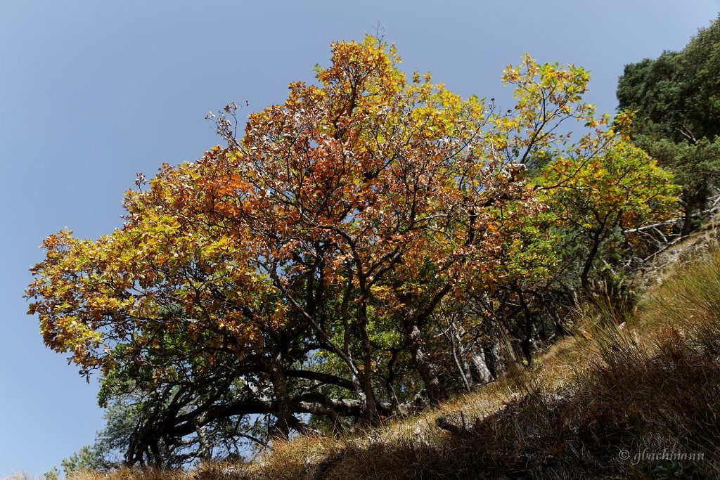 20101009_142